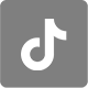 BIZ SH auf TikTok